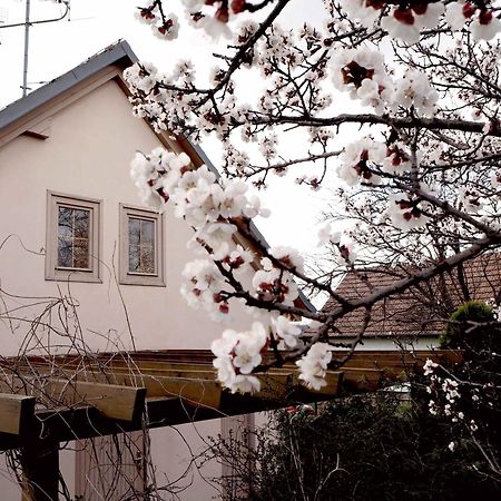 Ubytovani U Krizu Bulhary Ngoại thất bức ảnh